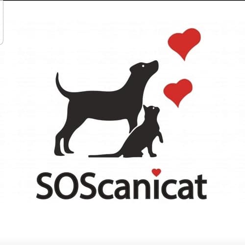 SOScanicat