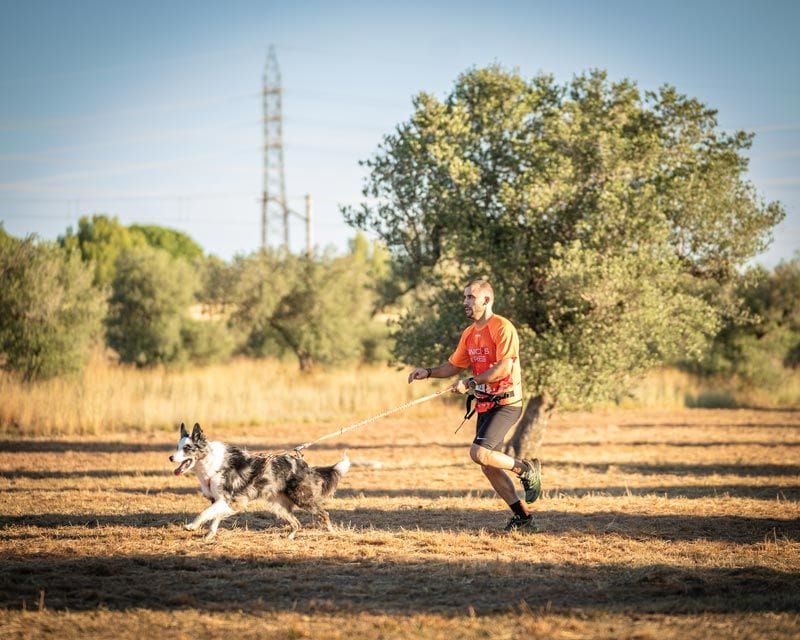 Portada fotografies 2023 album adictos al zoom