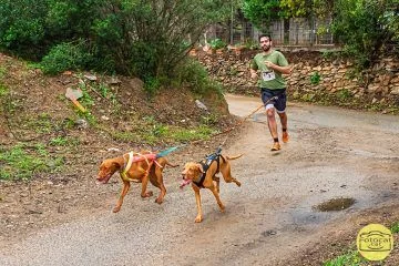 Portada cinquè àlbum Fotocat del V Canicròs de Reus