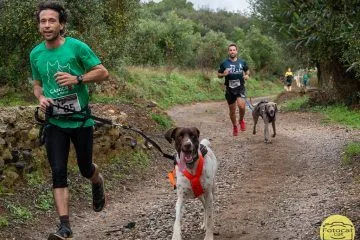 Portada novè àlbum Fotocat del V Canicròs de Reus